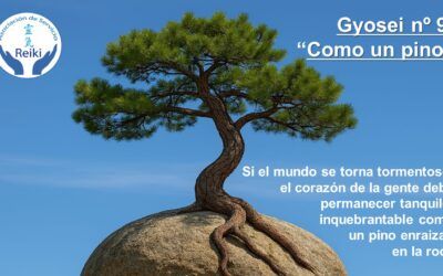 Gyosei 9 como un pino | significado y enseñanza