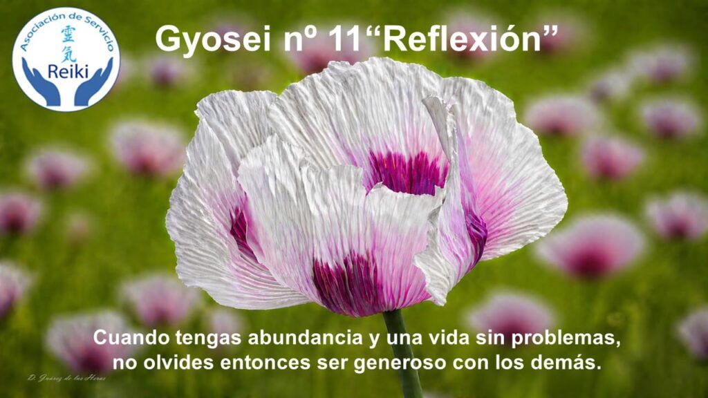 Gyosei 11 el valor de la generosidad